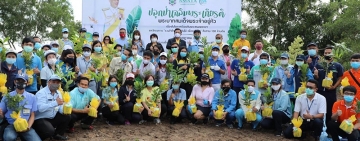 ปลูกป่าเฉลิมพระเกียรติ