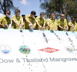 Dow -ทช. - IUCN ร่วมต้านโลกร้อน ลดขยะทะเลตั้งเป้ายกระดับการอนุรักษ์ป่าชายเลนด้วยคาร์บอนเครดิต              