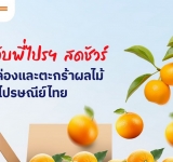 ไปรษณีย์ไทยเร่งเครื่อง EMS หนุนเกษตรกรทั่วไทย ส่งด่วนผลไม้–ผลผลิตสดใหม่ ถึงผู้บริโภค